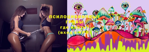 ешки Абдулино