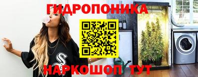 прущие грибы Обнинск