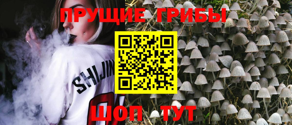 Волоколамск  Галлюциногенные грибы MAGIC MUSHROOMS  Вход с VPN 