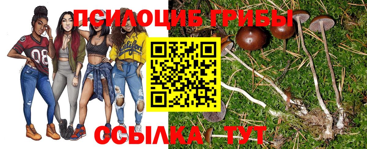Галлюциногенные грибы ЛСД Волоколамск